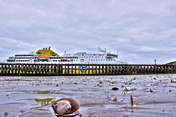 Shell and Ferry