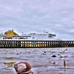 Shell and Ferry