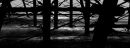 Under The Pier