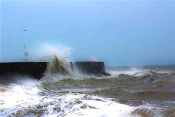 West Arm Waves