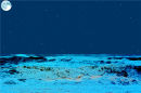 White Horses under a night sky