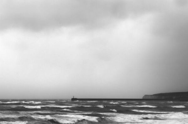 White Horses in Seaford Bay
