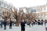 Ai Weiwei installation