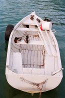 Annecy ducks & boat