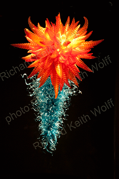 Dale Chihuly exhibition
