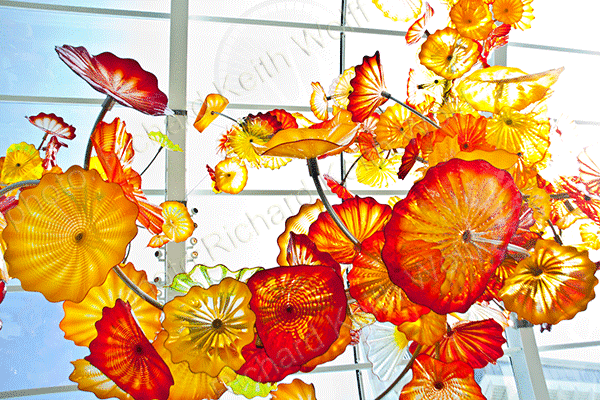 Dale Chihuly's