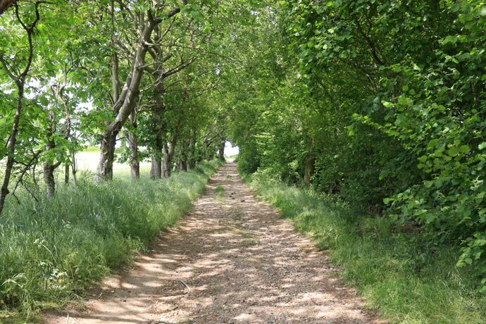 Farm track