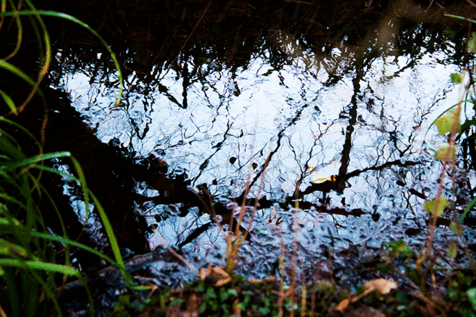 River Chess