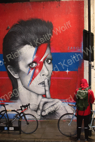 Bowie by Zabou