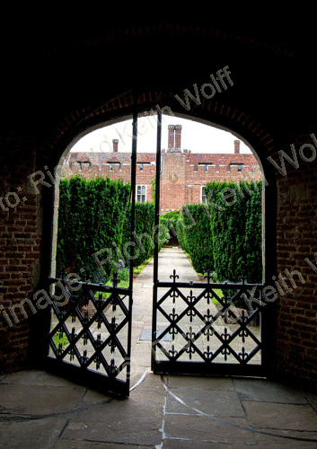 Courtyard Garden