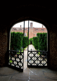 Courtyard Garden