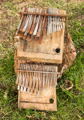 musical instrument