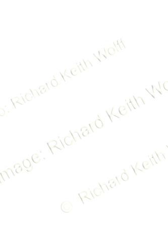 Xerography