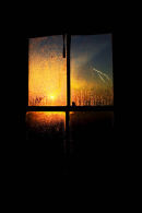 View from a window