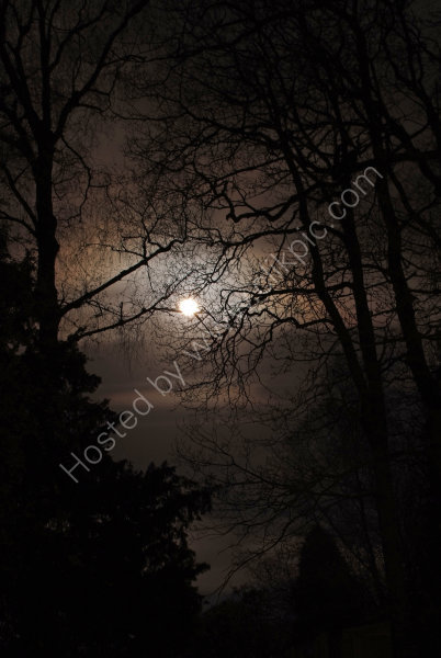 Moonlit Sky