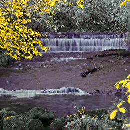 Troy Mill Weir