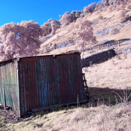 Sheep Shelter, Kettlewell
