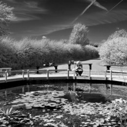 Rodley Nature Reserve