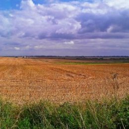 Fields at Barmston, Southview Cottages
