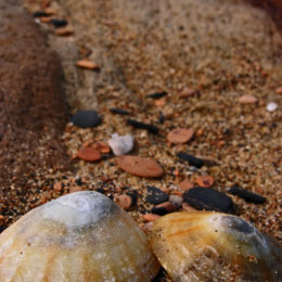 Saltwick Bay
