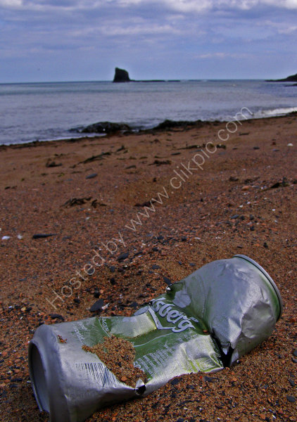 Seawashed empty Carlsberg can, washed up on the seashore at Saltwick Bay.