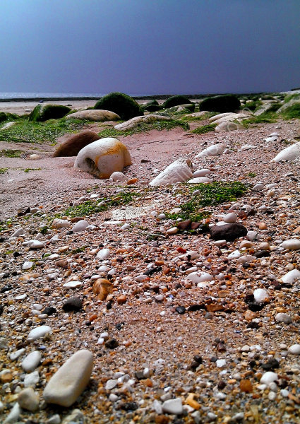South Landing, Flamborough