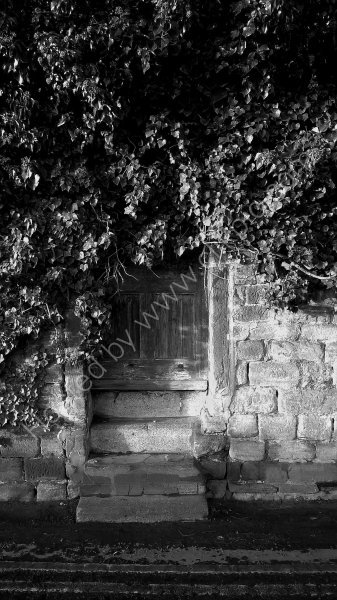 Hidden Doorway