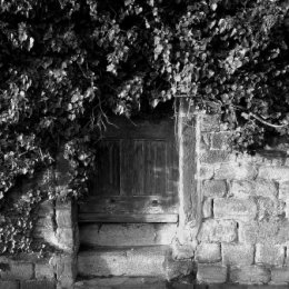 Hidden Doorway