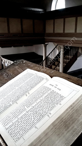 The Book of JOB