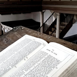 The Book of JOB