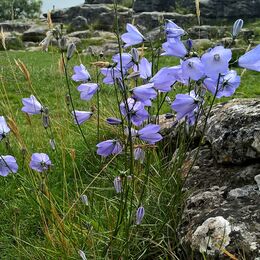 Malham Cove