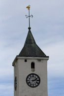 Clock Tower Birds