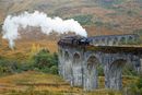 Jacobite Express,Glenfinnan.