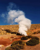 Desert Geyser - Atacama