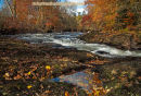 Autumn on River Almond, Perthshire