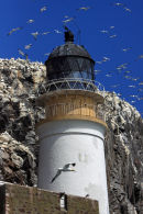 Bass Rock  Lighthouse