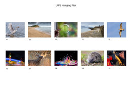 Licenciate of the Royal Photographic Society