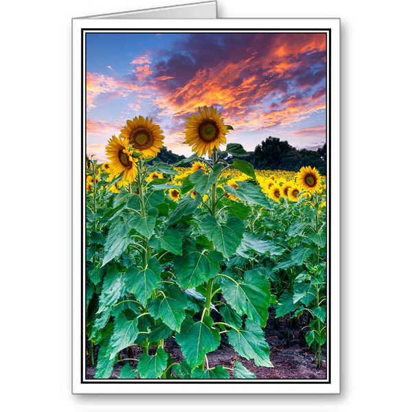 Portrait card example