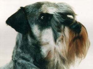Ridley Zazrak of Kohima