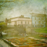 Misty River Cam