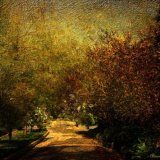 Pathway into the unknown ( Alameda Gardens Gibraltar)