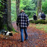 Just another day in the woods