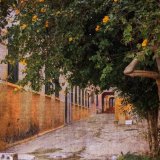 Castle Ramp, Gibraltar ( Road to lines area)