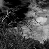 The Storm approaching