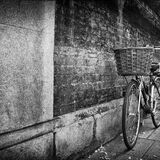 The bike