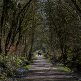 Healey Dell