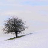 Simplicity in itself