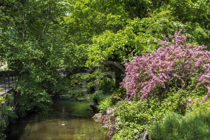 River Colne, opposite St Bartholomew's Church, Marsden