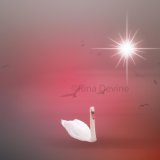 The Swan