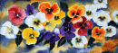 Pansies (watercolour) by Sheila Linkleter